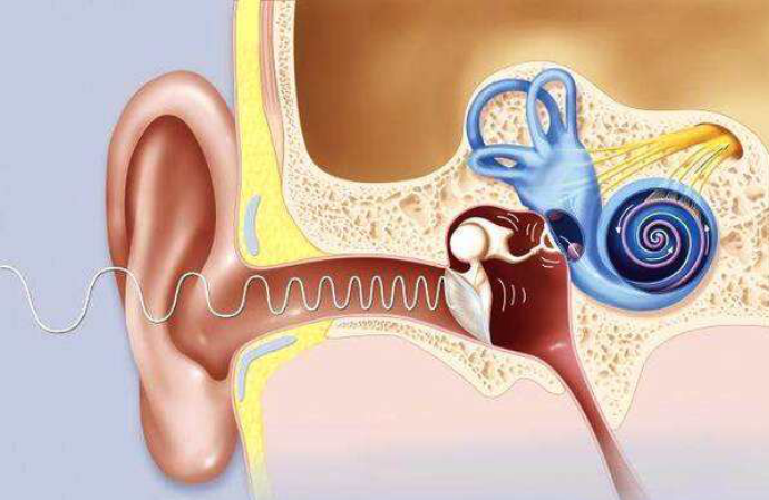 耳聋耳鸣