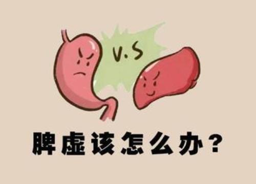 脾虚引起腹胀痛饭后加重身体乏力怎么治疗能消胀止痛？