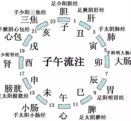 中医抗击新冠病毒肺炎的方法：中医经络调理养生疗法祛除湿邪，恢复人体脏腑功能