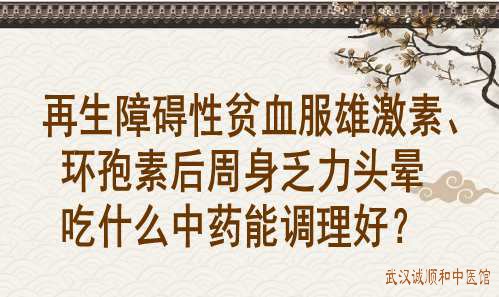 再生障碍性贫血服雄激素、环孢素后周身乏力头晕吃什么中药能调理好？