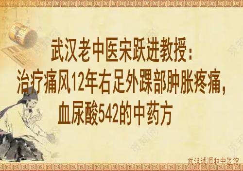 武汉老中医宋跃进教授：治疗痛风12年右足外踝部肿胀疼痛，血尿酸542的中药方