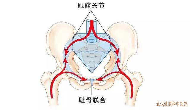 武汉最厉害老中医柳新樵治关节疼痛：骶髂关节退变有增生及骨刺中医调理能缓解吗?