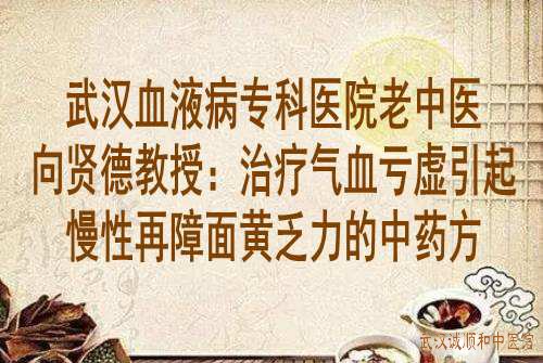 武汉血液病专科医院老中医向贤德教授：治疗气血亏虚引起慢性再障面黄乏力的中药方