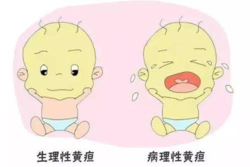 李时珍《本草纲目》诊治黄疸的外治法概述
