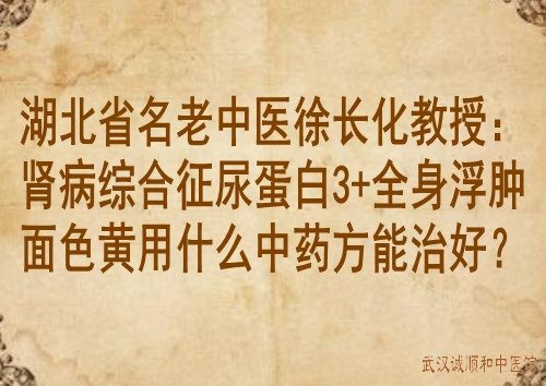 湖北省名老中醫徐長化教授腎病綜合徵尿蛋白3全身浮腫面色黃用什麼