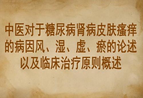 中医对于糖尿病肾病皮肤瘙痒的病因风、湿、虚、瘀的论述以及临床治疗原则概述