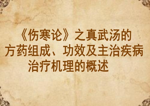 《伤寒论》之真武汤的方药组成、功效及主治疾病治疗机理的概述