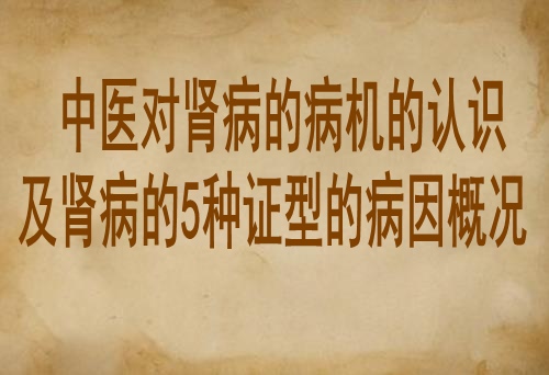 中医对肾病的病机的认识及肾病的5种证型的病因概况