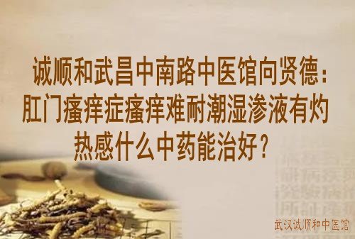 诚顺和武昌中南路中医馆向贤德：肛门瘙痒症瘙痒难耐潮湿渗液有灼热感什么中药能治好？