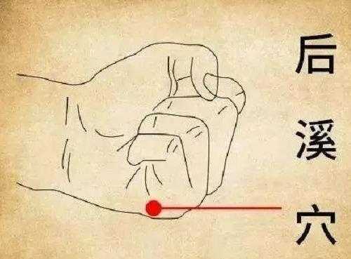 后溪穴的渊源及现代中医临床主治优势疾病学习摘录