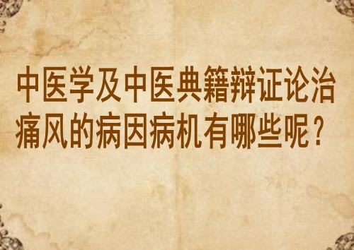 中医学及中医典籍辩证论治痛风的病因病机有哪些呢？