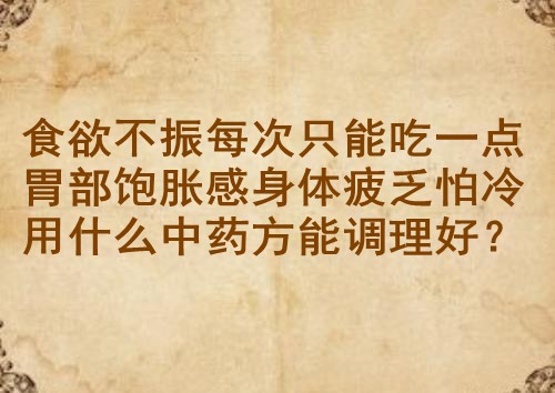 食欲不振每次只能吃一点胃部饱胀感身体疲乏怕冷用什么中药方能调理好？