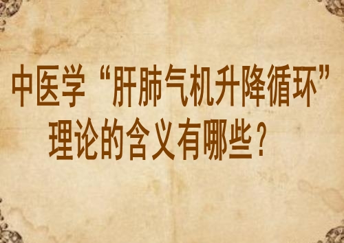 中医学“肝肺气机升降循环”理论的含义有哪些？