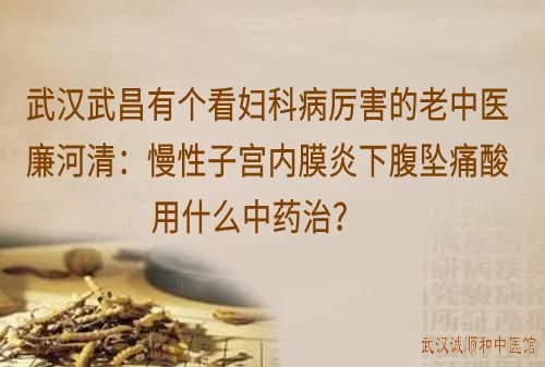 武汉武昌有个看妇科病厉害的老中医廉河清：慢性子宫内膜炎下腹坠痛腰酸用什么中药治？