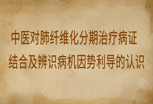 中医对肺纤维化分期治疗病证结合及辨识病机因势利导的认识