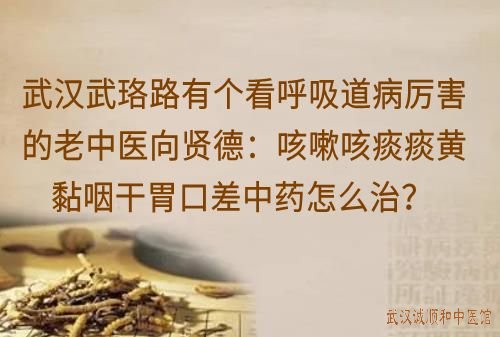 武汉武珞路有个看呼吸道病厉害的老中医向贤德：咳嗽咳痰痰黄黏咽干胃口差中药怎么治？