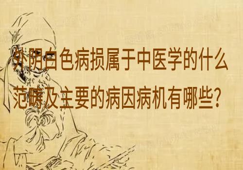 外阴白色病损属于中医学的什么范畴及主要的病因病机有哪些？