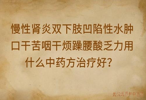 慢性肾炎双下肢凹陷性水肿口干苦咽干烦躁腰酸乏力用什么中药方治疗好？