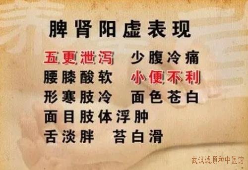 脾肾阳虚气短乏力消化不良早晨腹泻便后无力用什么中药方治疗效果比较好？