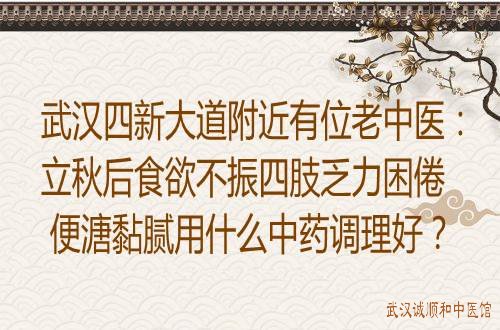 武汉四新大道附近有位老中医：立秋后食欲不振四肢乏力困倦便溏黏腻用什么中药调理好？