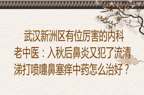 武汉新洲区有位厉害的内科老中医：入秋后鼻炎又犯了流清涕打喷嚏鼻塞痒中药怎么治好？