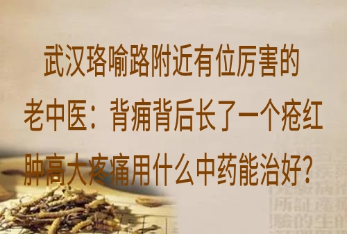 武汉珞喻路附近有位厉害的老中医：背痈背后长了一个疮红肿高大疼痛用什么中药能治好？