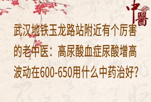 武汉地铁玉龙路站附近有个厉害的老中医：高尿酸血症尿酸增高波动在600-650用什么中药治好？
