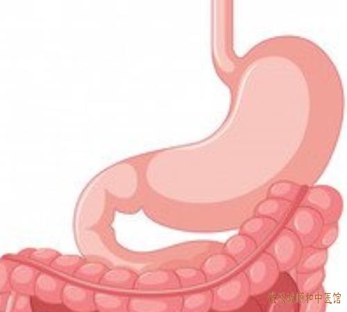 武汉银泰创意城附近有位肠胃病中医：腹泻型肠易激综合征用什么方子治疗好?