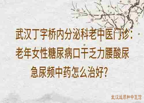 武汉丁字桥内分泌科老中医门诊：老年女性糖尿病口干乏力腰酸尿急尿频中药怎么治好？