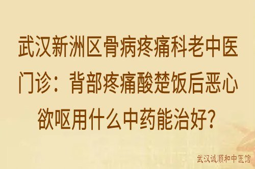 武汉新洲区骨病疼痛科老中医门诊：背部疼痛酸楚饭后恶心欲呕用什么中药能治好？