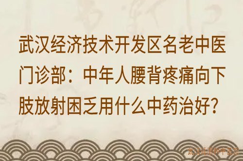 武汉经济技术开发区名老中医门诊部：中年人腰背疼痛向下肢放射困乏用什么中药治好？