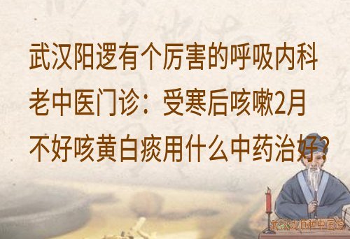 武汉阳逻有个厉害的呼吸内科老中医门诊：受寒后咳嗽2月不好咳黄白痰用什么中药治好？