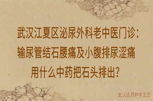 武汉江夏区泌尿外科老中医门诊：输尿管结石腰痛及小腹排尿涩痛用什么中药把石头排出？