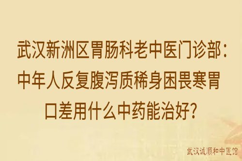 武汉新洲区胃肠科老中医门诊部：中年人反复腹泻质稀身困畏寒胃口差用什么中药能治好？