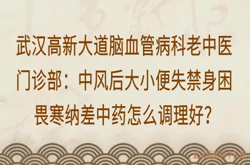 武汉高新大道脑血管病科老中医门诊部：中风后大小便失禁身困畏寒纳差中药怎么调理好？