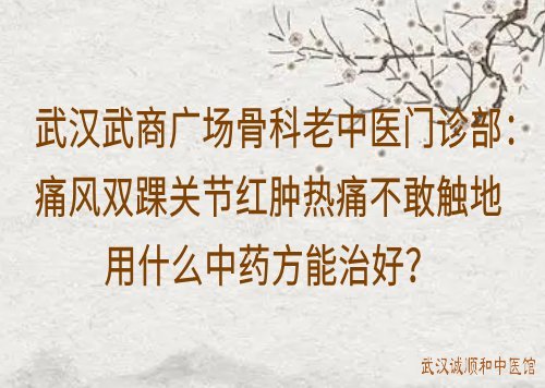 武汉武商广场骨科老中医门诊部：痛风双踝关节红肿热痛不敢触地用什么中药方能治好？