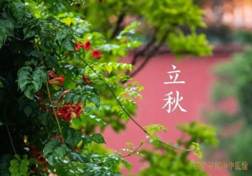 立秋养生指南|顺应时令调阴阳，润燥养肺护健康!