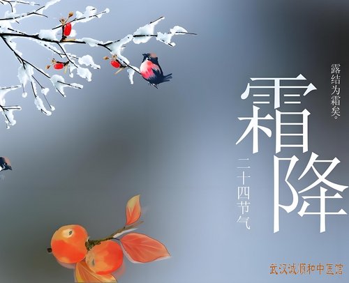 今日霜降|霜降养生攻略:御寒润燥、健脾养肺、收敛阳气!