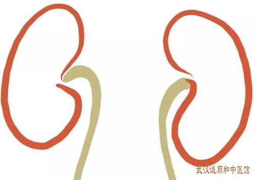 武汉岳家嘴看肾病厉害的老中医：慢性肾衰竭下肢水肿腰膝酸软伴口黏纳呆如何治疗？