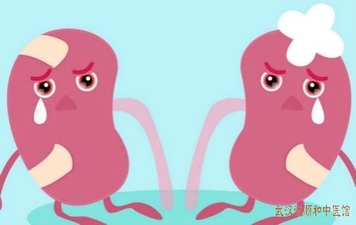 武汉中南路有个肾病老中医门诊:老年人得了肾病综合征全身水肿小便不利而量少怎么调?
