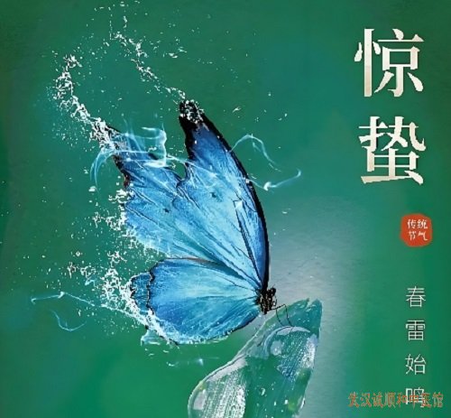 惊蛰养生：顺天时而调阴阳，护肝穴、春捂技巧以及体质调理