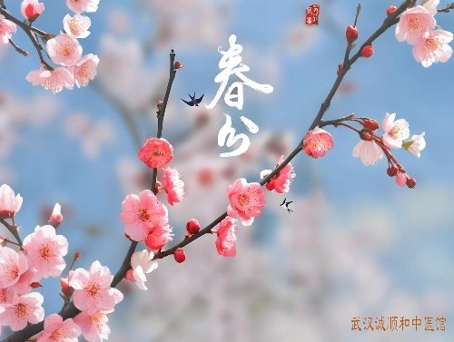 今日春分！做好头腹足三保暖，全年少生病