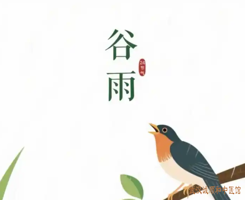 谷雨时节话养生：春雨绵绵湿邪盛，中医教你调饮食适起居，畅情志动养护正气。