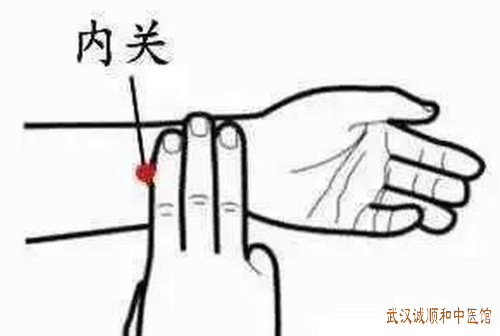 立夏养心：从心神调和到气血养护，解锁中医夏季养生智慧。