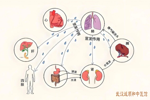 武汉有位“扫地僧”，简单方子治“怪病”！结石、结节、痛风、肿瘤……祸根竟然是它！