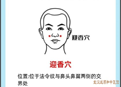 今日白露｜秋燥易伤肺，养生重“润”与“藏”
